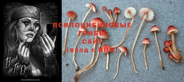 героин Алзамай