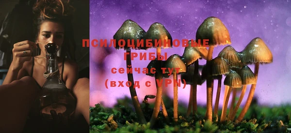 героин Алзамай